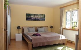 Apartment Klessheim